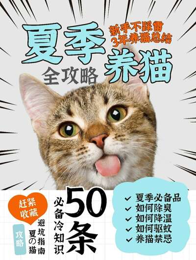 夏季养猫防暑全攻略：降温饮食防中暑驱蚊安全与剃毛误区一次讲清