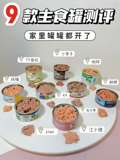 9款热门猫咪主食罐横向测评：从配方到价格，手把手教你挑
