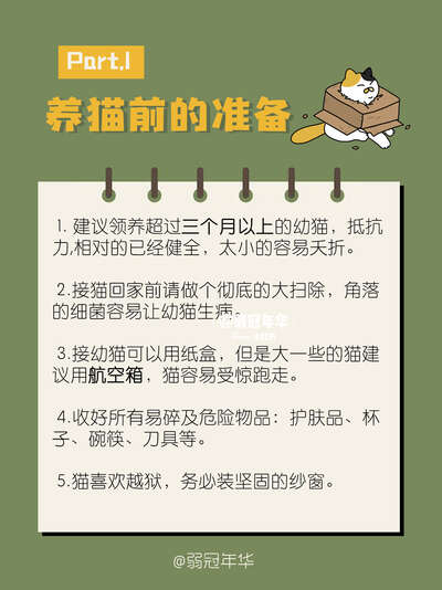新手养猫33条避坑指南：从选猫到日常的全流程