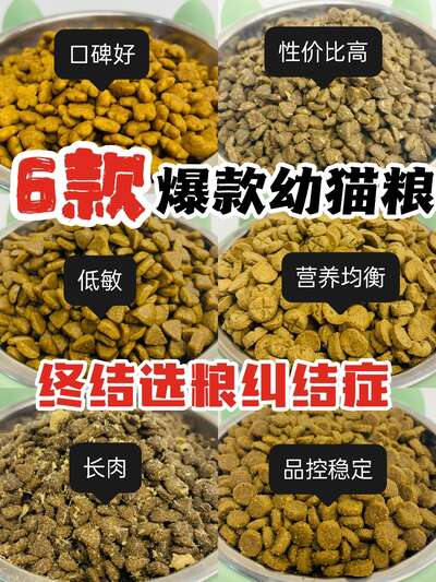 幼猫粮测评：6款热门品牌实测对比，选对粮让小猫健康成长