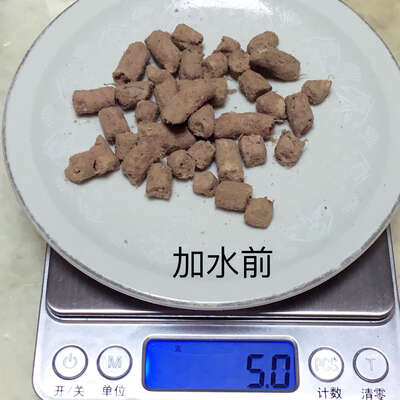 狗狗冻干粮到底好不好？五种主流品牌实测对比与选购指南