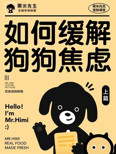 缓解狗狗焦虑的实操方法：识别焦虑信号与五种居家缓解技巧全讲解