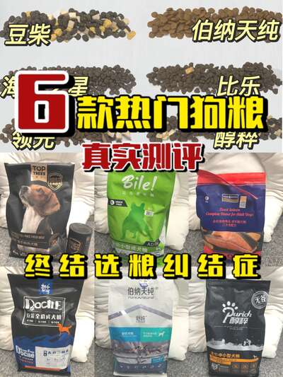 新手选狗粮避坑指南：6款热门品牌真实测评对比
