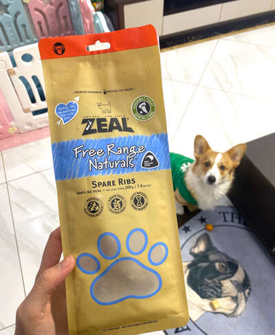 柯基零食红榜：5款无限回购的磨牙零食推荐
