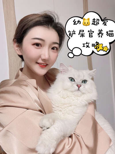 铲屎官养猫日记：从长毛幼猫到小胖纸倔强嘴巴幼猫粮拯救玻璃胃