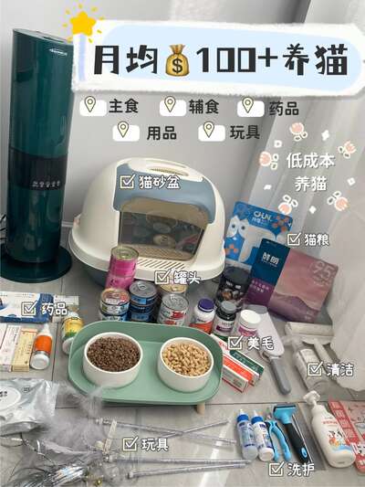 新手穷养猫攻略：月均100+养出精致健康小猫咪