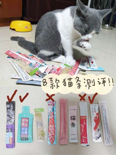 8款猫条横评测评：诱食剂增稠剂全面检测