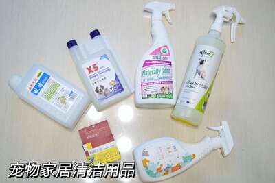 养狗家庭除臭消毒全指南：从次氯酸到生物酶的科学清洁方案