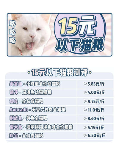 流浪猫喂养指南：廉价猫粮到底能不能喂，科学救助这样做