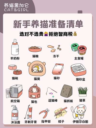 18件新手养猫接猫必备品，选对不选贵清单