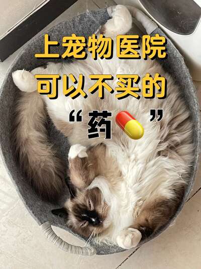 宠物医院省钱攻略：哪些检查不必要、哪些必须做