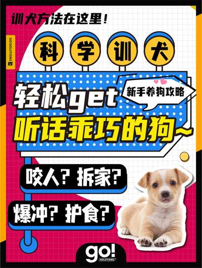 训狗总是白费劲？4大坏习惯科学纠正指南来了