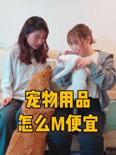 20元以内宠物用品平替清单：猫狗双全家庭的省钱购物指南