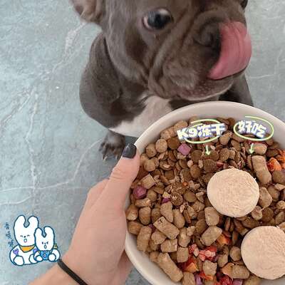 犬类五感百科：狗的视觉听觉嗅觉味觉触觉比人强多少
