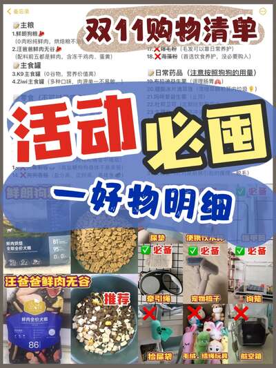 新手养猫必备用品清单：从入门到进阶的完整购物指南