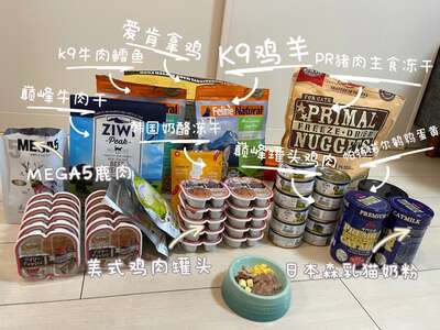 让猫咪幸福生活的五个核心条件：不只吃饱还要满足天性需求