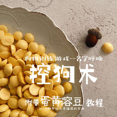 狗狗学会这5个指令就够了：坐下握手趴下召回定点，零基础7天上手