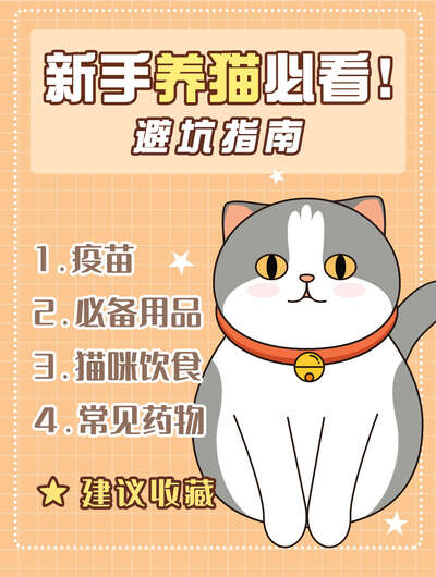 新手养猫10个必学技巧：从接猫第一天到养成漂亮毛孩子