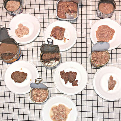 猫罐头选购终极指南：主食罐和零食罐到底怎么分