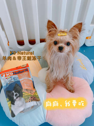 小狗训练零食怎么选：K9冻干训练奖励实测