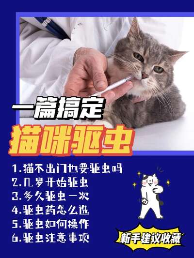猫咪驱虫最全攻略：不出门也要驱的4个原因和实操方法