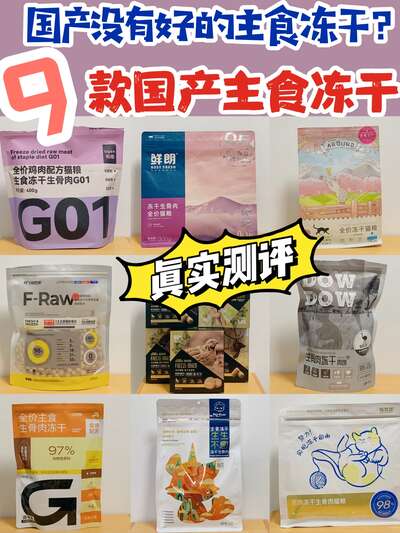 国产猫粮冻干大横评：九款热门品牌实测，新手选粮避坑指南