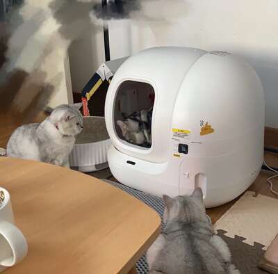 自动猫砂盆真实测评：出差一周回来猫砂盆是干净的，但有三件事没人告诉你