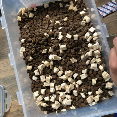 猫粮混冻干的正确打开方式：解决软便和挑食，这招比换粮更管用