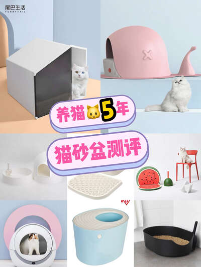 养猫八年踩过的猫砂盆坑：开放式、封闭式、顶入式、自动款到底选哪个