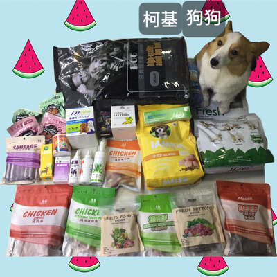 柯基养成记：从狗粮到零食再到护理，一篇讲透狗狗喂养全流程