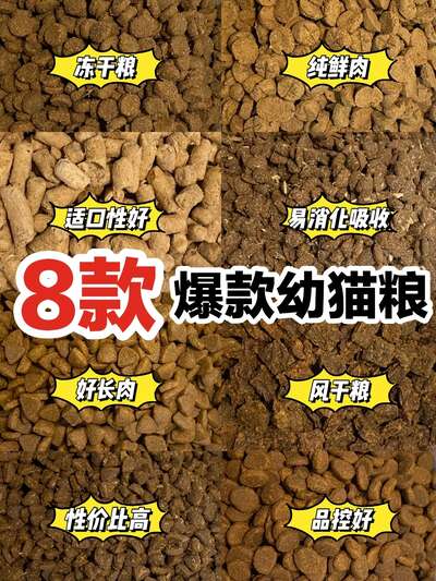 幼猫粮vs成年猫粮：从出生到1岁的喂养方案