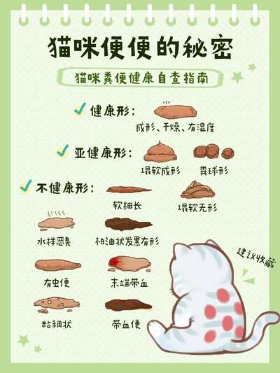 猫咪便便健康自查手册：从形状颜色到成因对策，铲屎时多看一眼省下大笔医药费