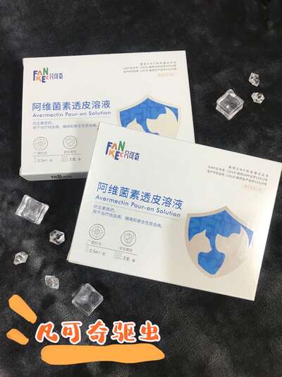 猫咪驱虫全攻略：体内体外驱虫时间表+药品选择+新手避坑指南