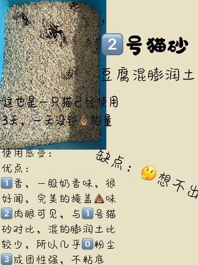 月薪2000也能好好养猫：5款平价猫砂真实测评