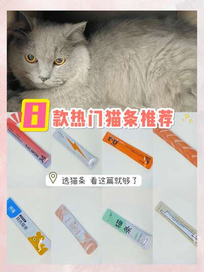 猫条选购避坑指南：8款猫条真实测评教你只买对的