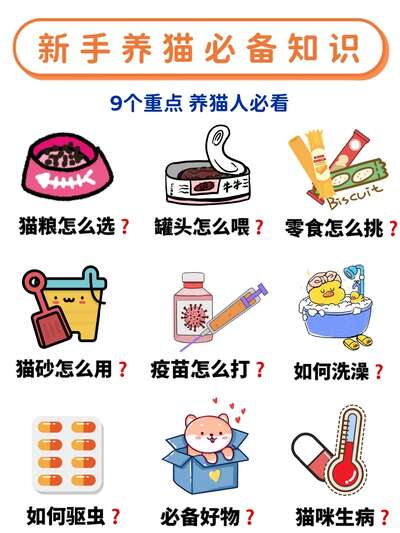 新手养猫必看的9个常识，拒绝踩雷从这篇开始
