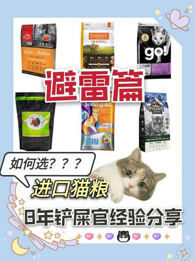八年养宠经验总结：进口猫粮选购方法论与五款口碑粮真实评价