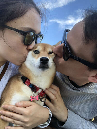狗不听话不是故意捣乱：理解狗狗行为的正确思路