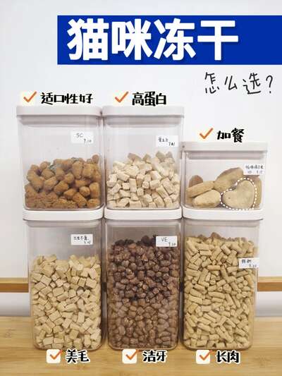6款主食冻干实测：哪种最适合当猫咪长期口粮