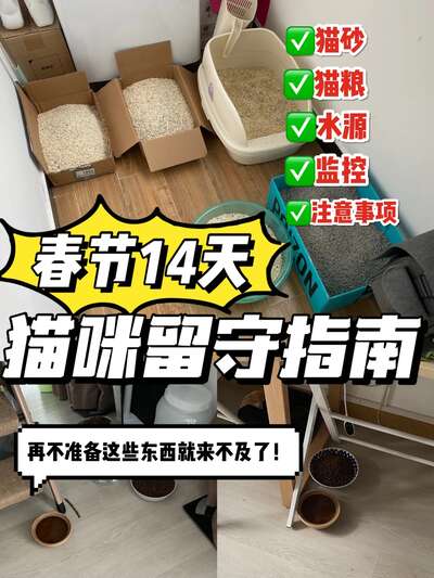 猫咪独自留守14天全攻略：准备清单和每日注意事项