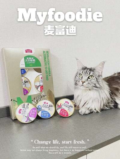 麦富迪小金碗猫罐头三大口味深度评测：关节/皮毛/泌尿哪个更值得买
