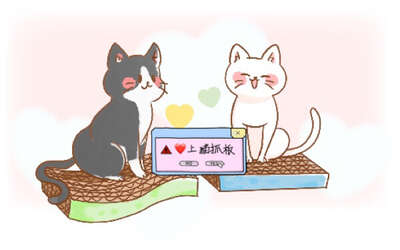 猫抓板买了猫不用？三招让猫主动上板，沙发保住了