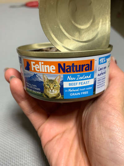 K9猫主粮罐头值不值得当主食？开罐实测与成分深度分析告诉你真相