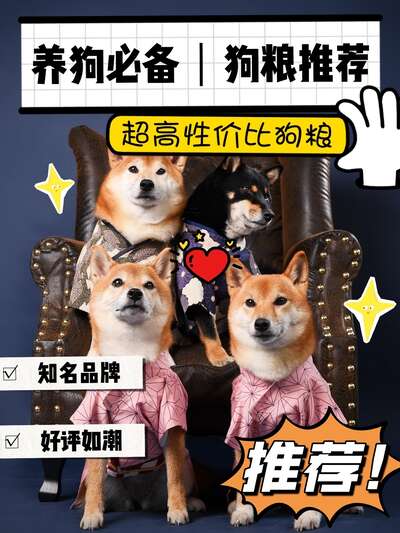 养了三只狗之后我才明白的事：关于陪伴与告别
