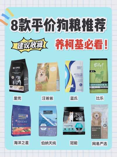 月薪3000也能精致养柯基：5款平价狗粮真实测评