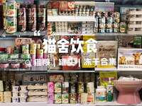 猫舍主理人的真心话：猫粮、冻干、罐头怎么搭配才能让猫吃得好又不挑食