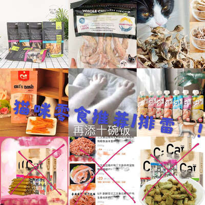 猫零食猫条鱼干冻干选购排雷全攻略