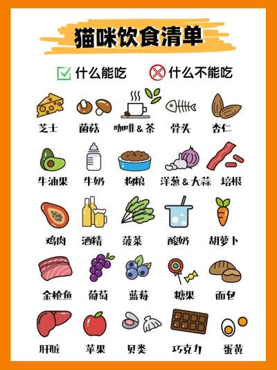 新手养猫饮食清单速查：猫咪能吃和不能吃的50种食物一目了然