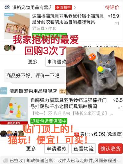 多猫家庭的猫玩具选购与避雷指南：逗猫棒到自动玩具的实战分享