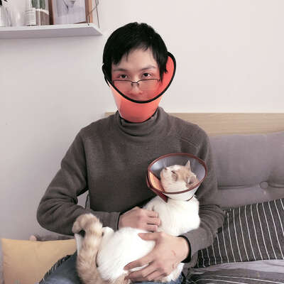 公猫绝育的注意事项清单：术前术中术后的每一关我都帮你标好了